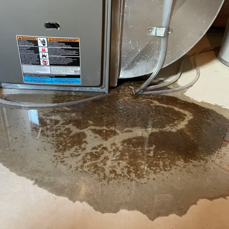 Appliance Leak Cleanup in Ridge Wood Heights, FL