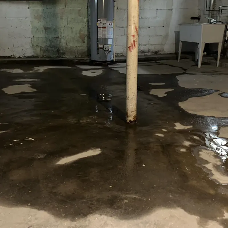 Emergency Water Extraction And Removal in Ridge Wood Heights, FL